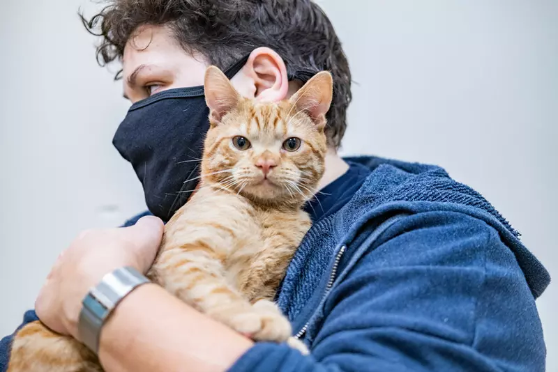 Ginger cat being held by a man wearing a mask