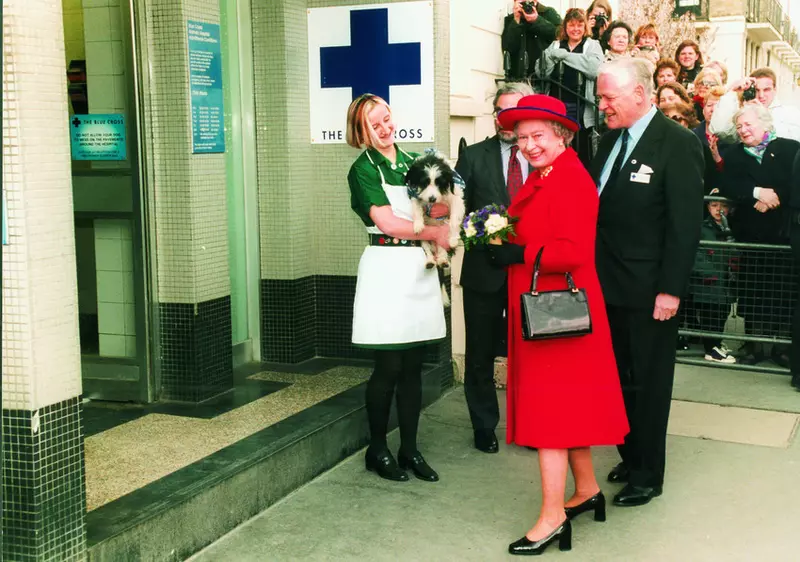 Image of The Queen in front of our Victoria animal hospital with some of our staff and onlookers