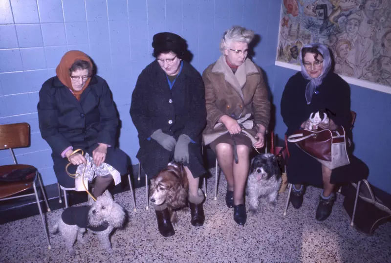 Four women in our Grimsby animal hospital waiting room in 1966