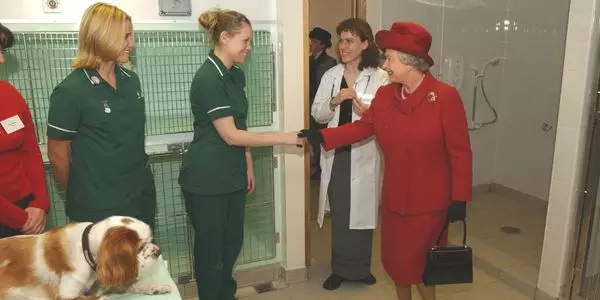 The Queen greets some of our Blue Cross team at a visit in 2001
