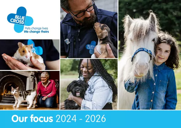 Our Focus 2024 to 2026 imagery.