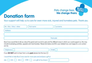 Example offline donation form