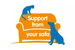 Support from your sofa logo
