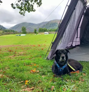 A black and white labrador cross dog lies by a tent with a view of rolling meadows and grassy mountains 