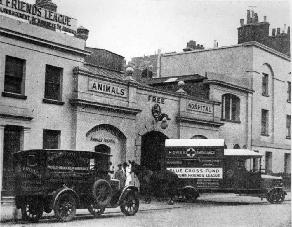 Black and white photo of the Victoria animal hospital