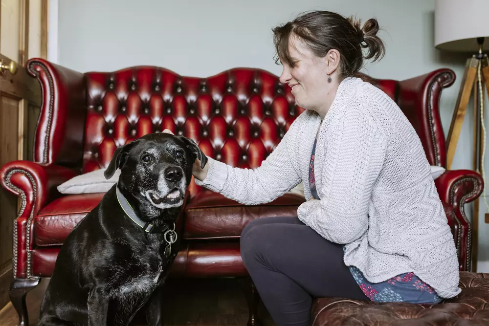 Black and white labrador cross dog is stroked by her owner as they sit by a red leather sofa