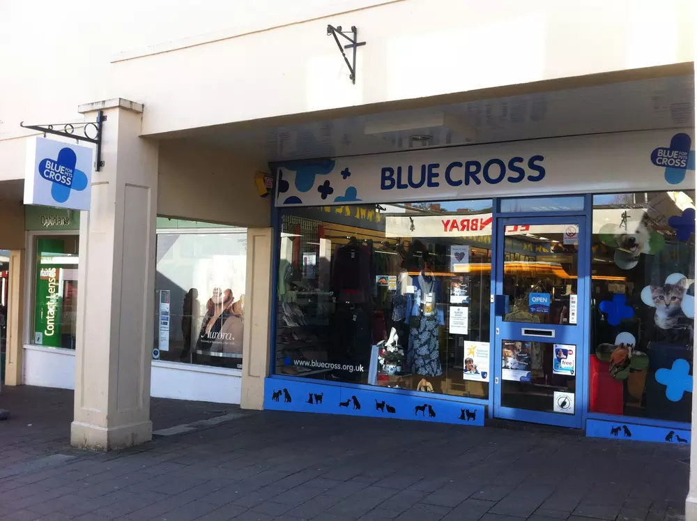 Blue Cross Frome Charity Shop