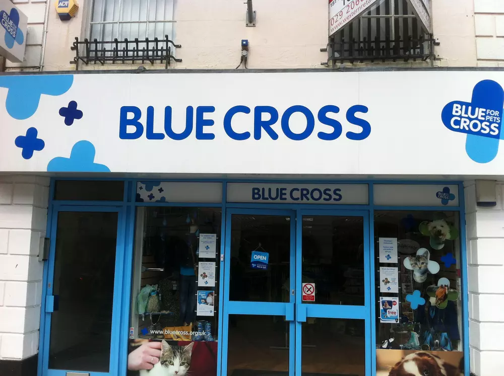 Blue Cross Warminster Charity Shop