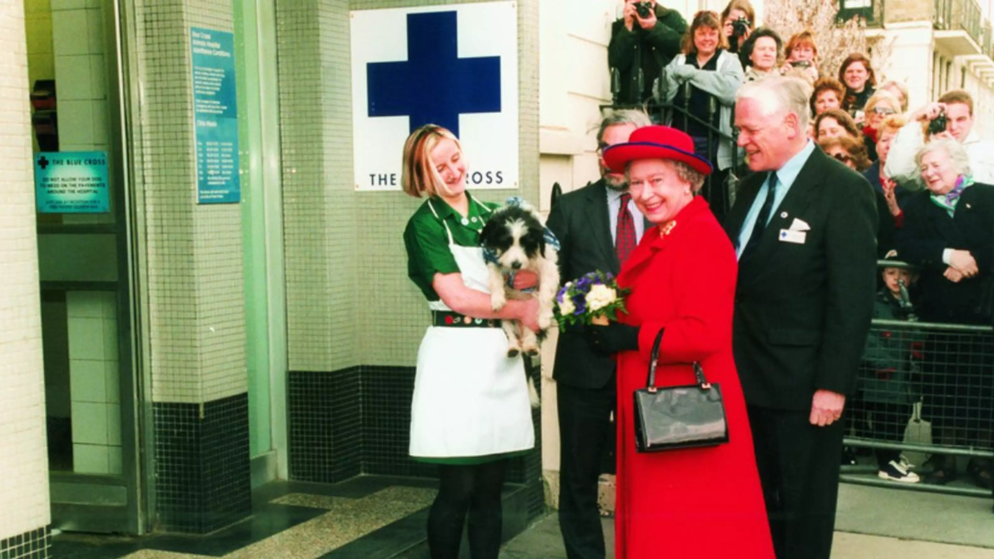 The Queen greets some of our Blue Cross team outside the doors of our London Victoria animal hospital