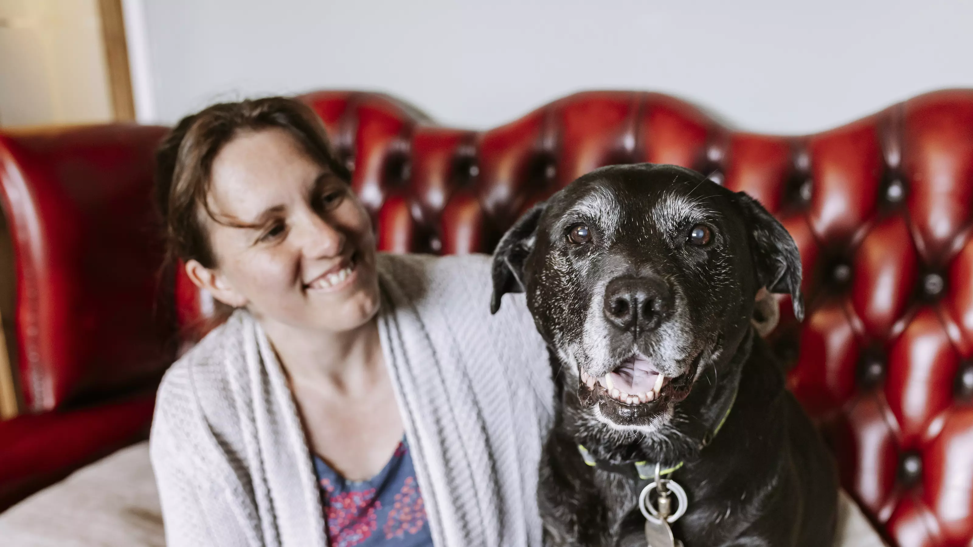 A black and white labrador cross gazes into the camera as her smiling owner wraps an arm around her