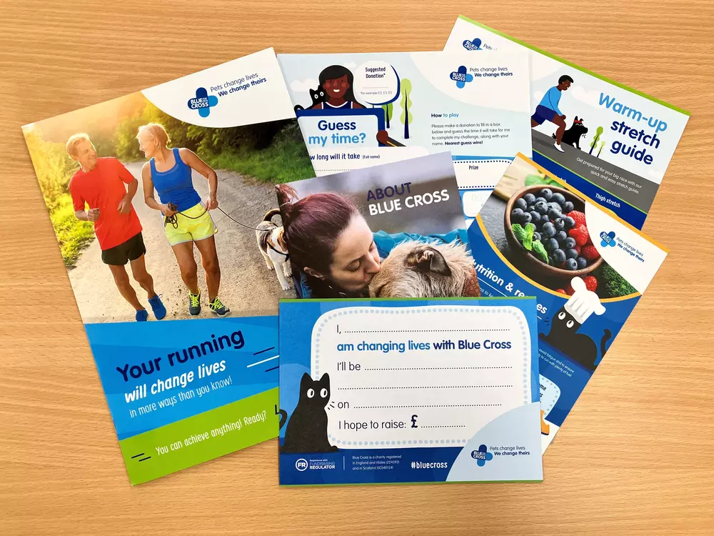 A flat lay image of the contents of a Blue Cross running pack, including a warm-up stretch guide.