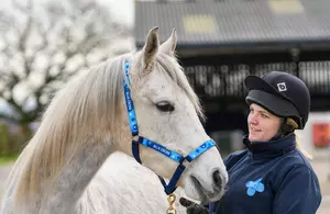 A white horse looks at a Blue Cross staff member