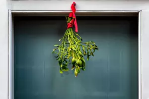Christmas mistletoe hanging on a door