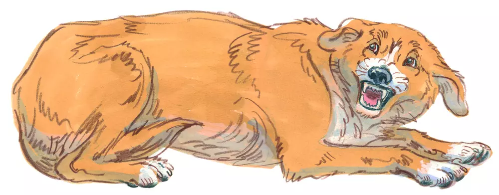 Drawing of a dog crouching down and afraid