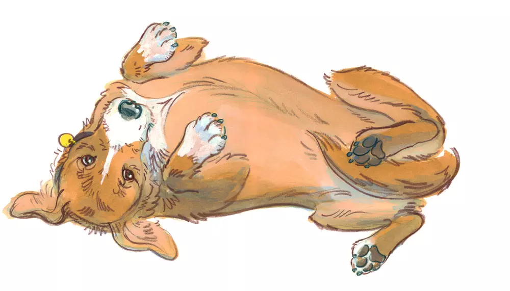 Drawing of a dog rolling over onto his back because he is feeling vulnerable