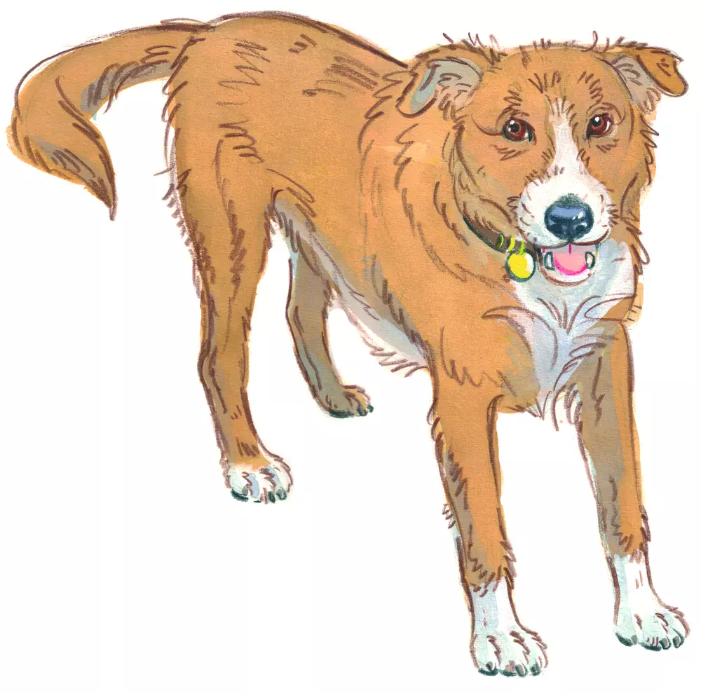 Drawing of a dog with a relaxed body and tongue showing he is happy