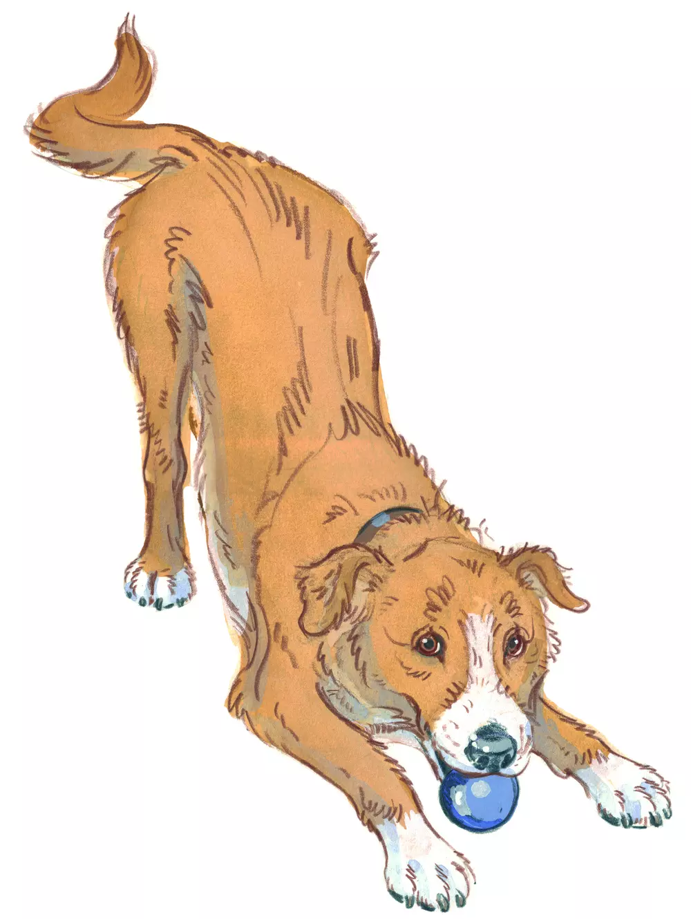 Drawing of a dog in a play bow pose looking happy and ready to play