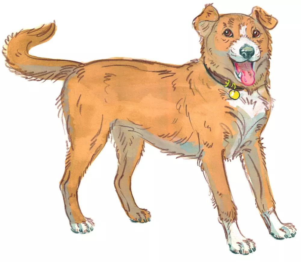 Drawing of a dog wagging her tail in excitement, happy to see you