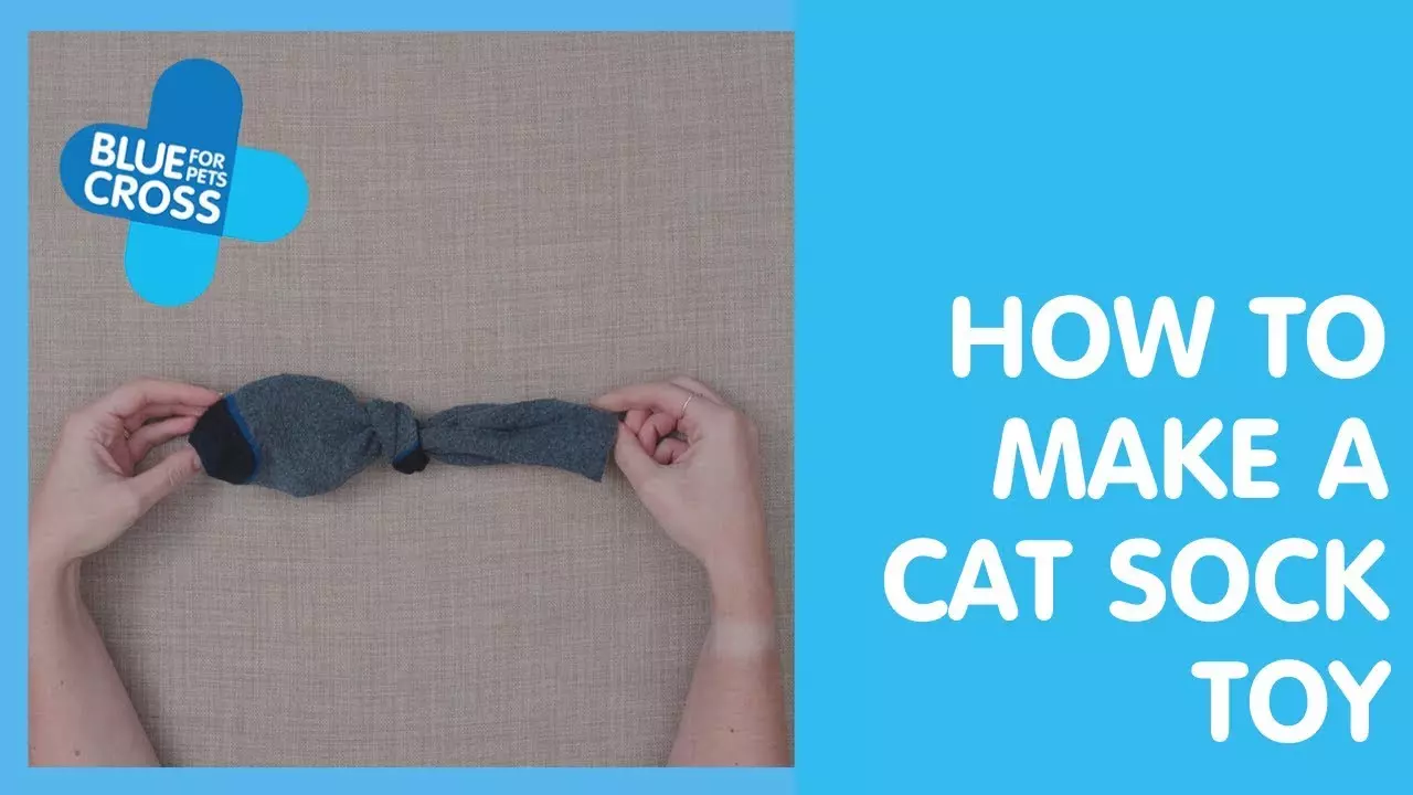 How To Make A Cat Sock Toy Blue Cross