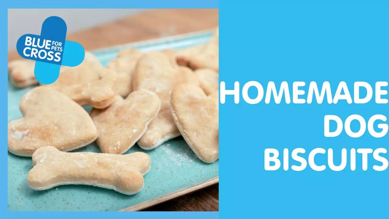 Homemade dog biscuits Blue Cross