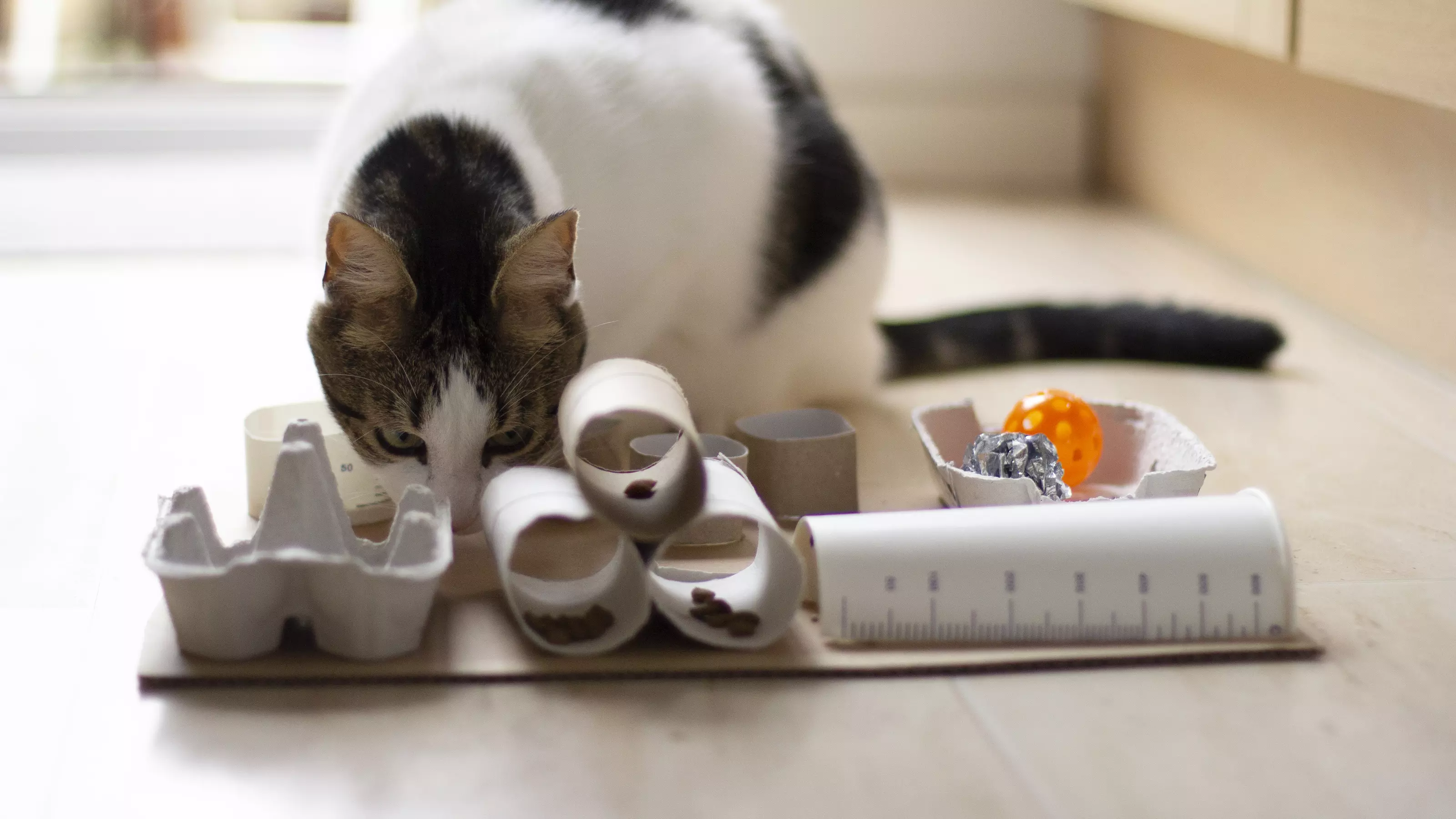 Best puzzle feeder for cats best sale